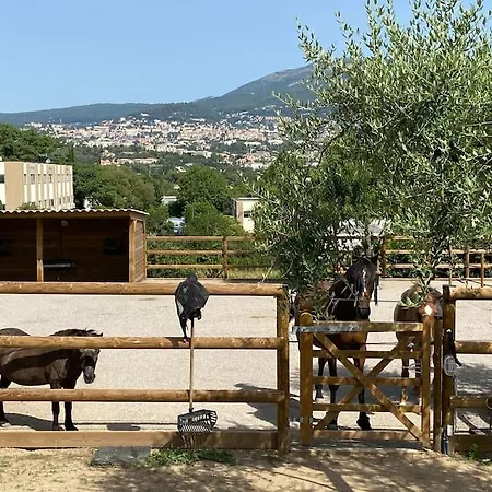 La Bastide de Jean Maison de charme dans un domaine equestre privé Grasse Exterior foto