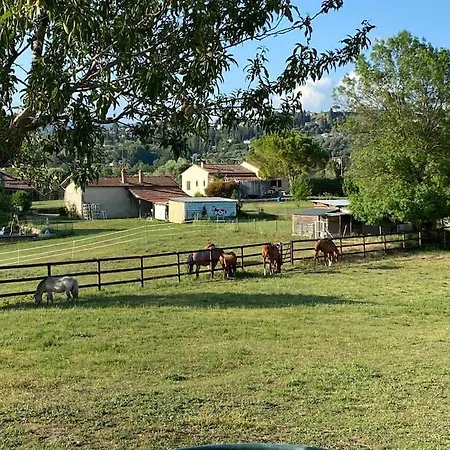 La Bastide de Jean Maison de charme dans un domaine equestre privé Grasse Exterior foto