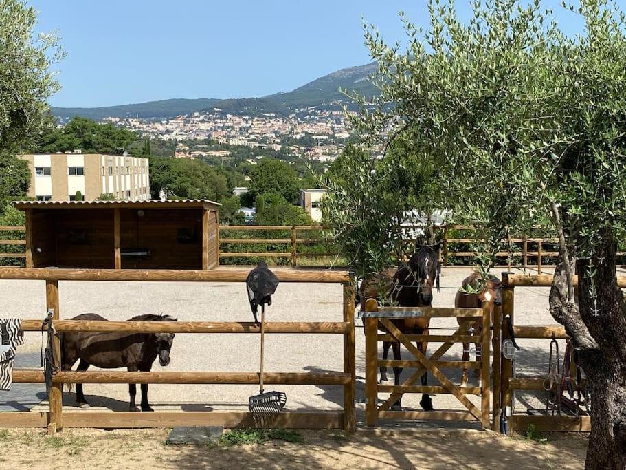 La Bastide De Jean Maison De Charme Dans Un Domaine Equestre Prive Ferienhaus Grasse