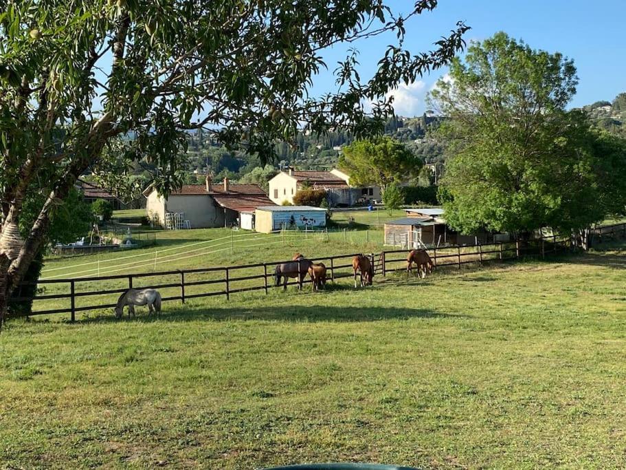 La Bastide De Jean Maison De Charme Dans Un Domaine Equestre Prive *
